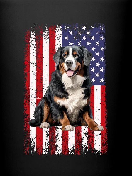 bernese mountain dog