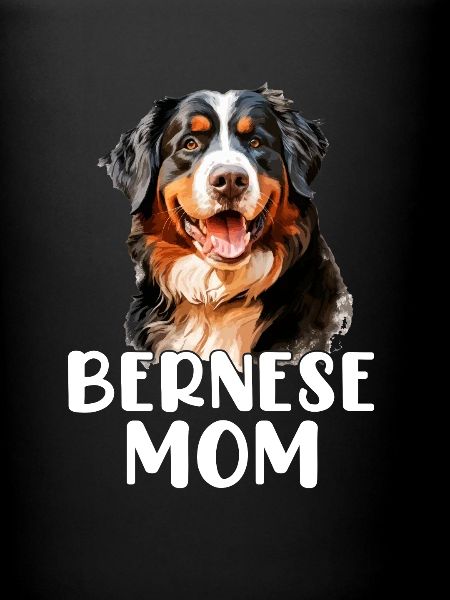 bernese mountain dog