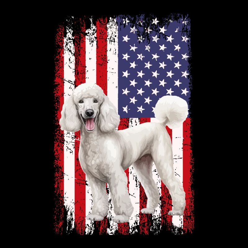 poodle dog