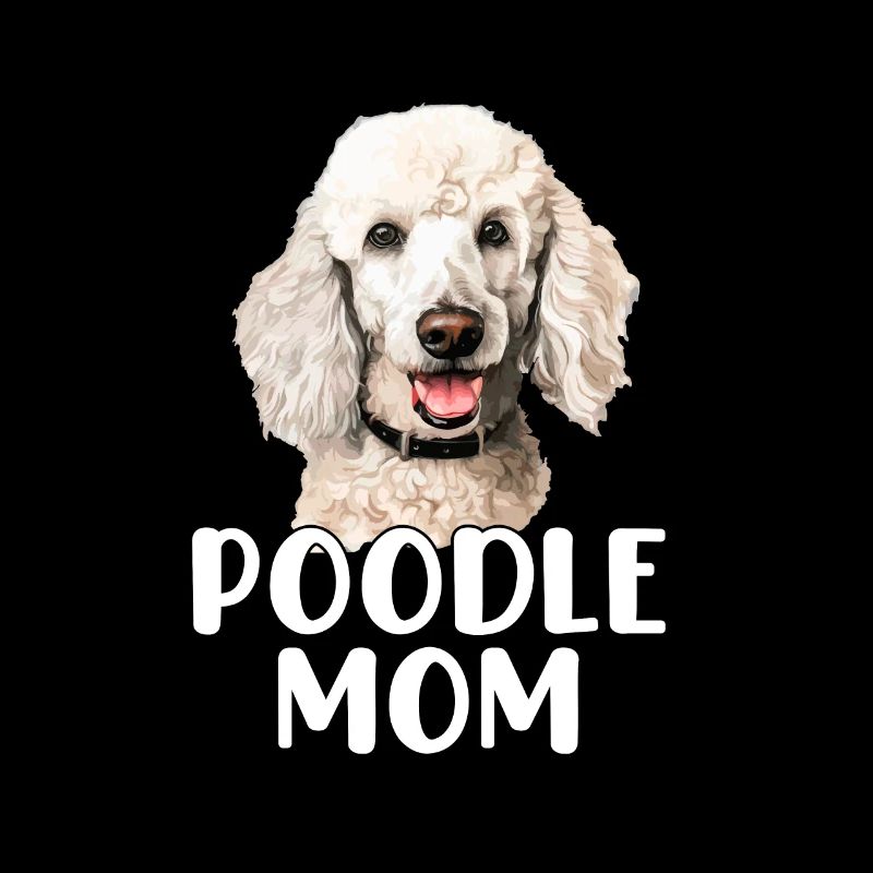 poodle dog