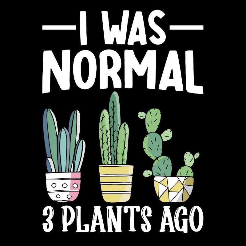 Funny Succulent Cactus