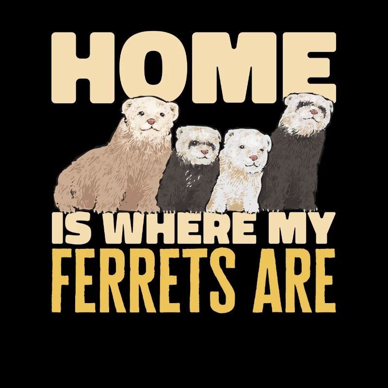 Furet, propriétaire de furet