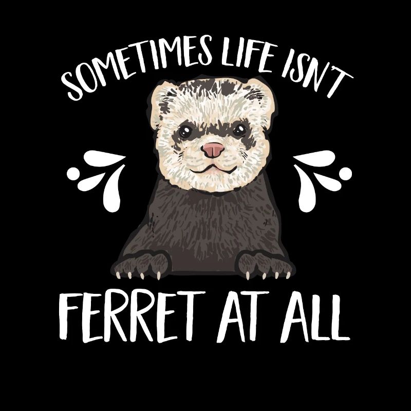 Furet, propriétaire de furet
