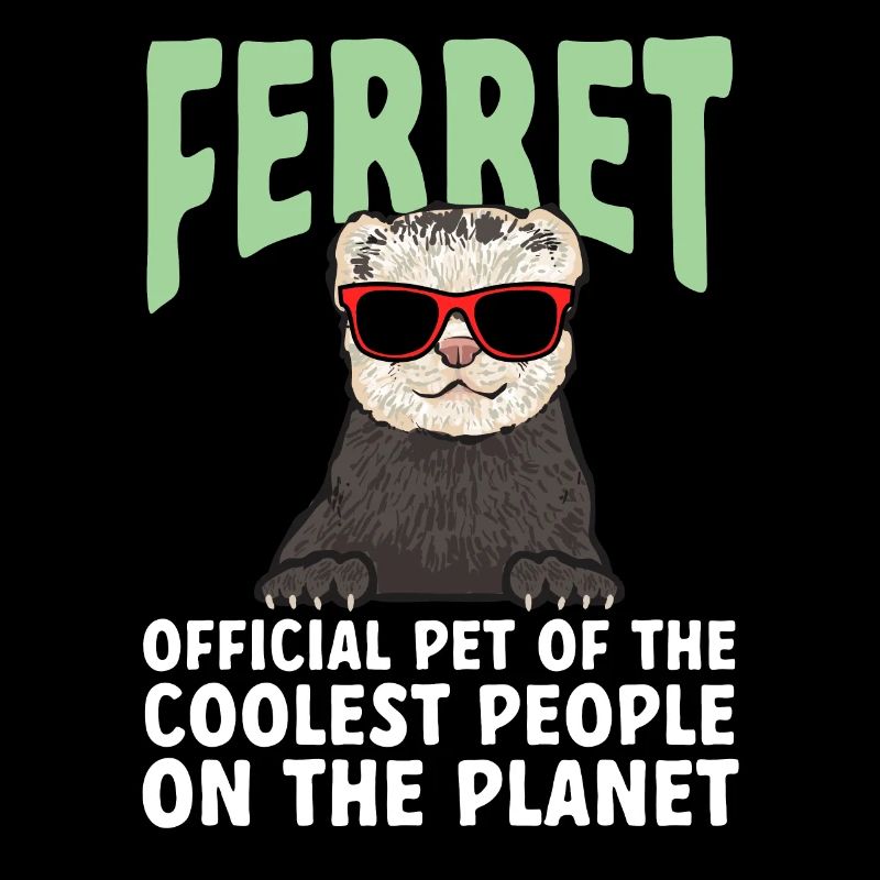 Furet, propriétaire de furet