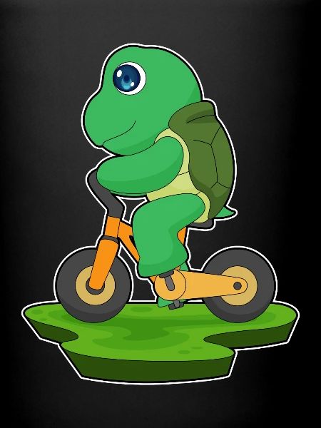 Turtle Bicycle