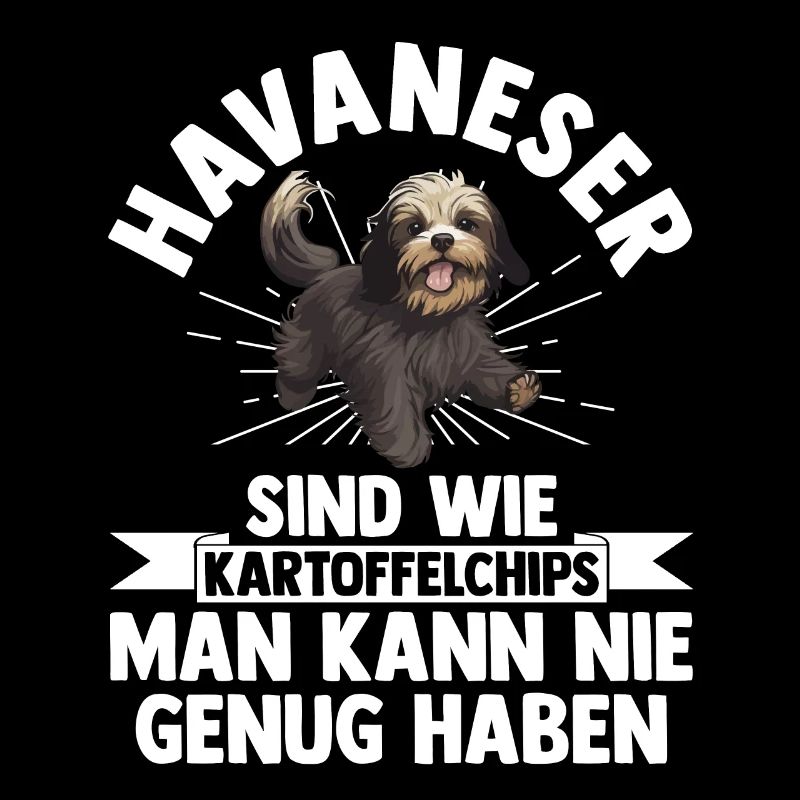 Hund Havaneser
