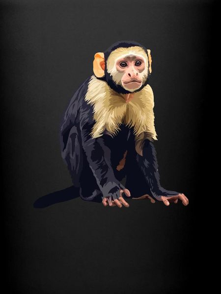 Capuchin monkey whisperer
