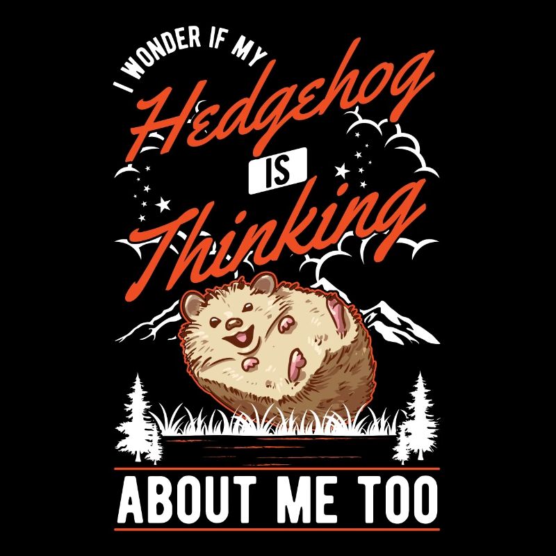 Hedgehog Gift Spiny Hedgehog