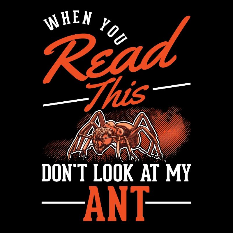 Ants Gift Anthill Fire Ant