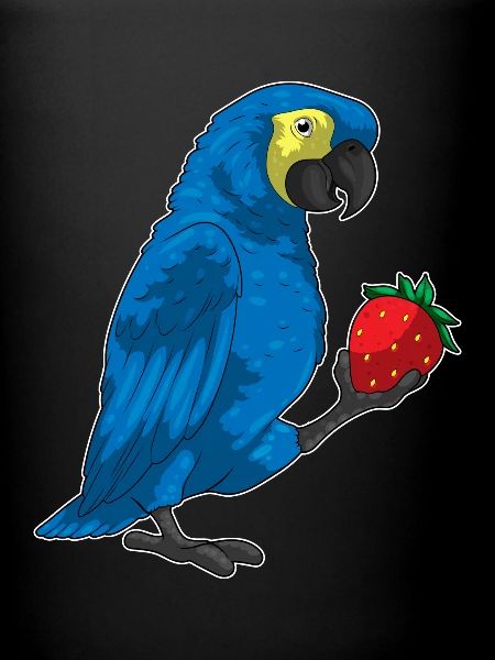 Perroquet Fraise