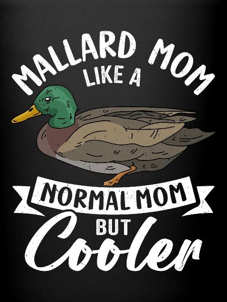 Canard colvert