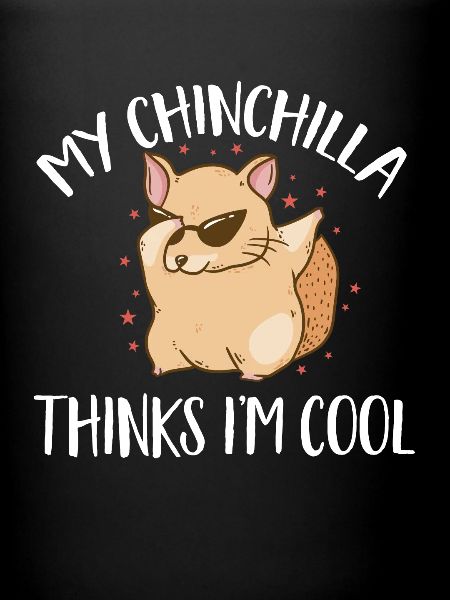 Chinchilla