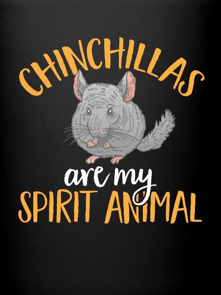 Chinchilla