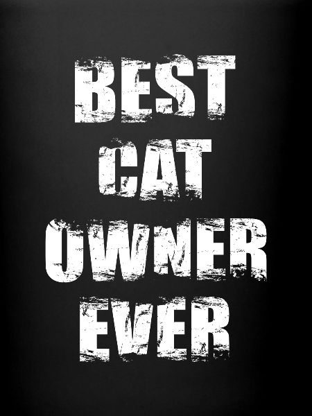 Best Cat Owner
