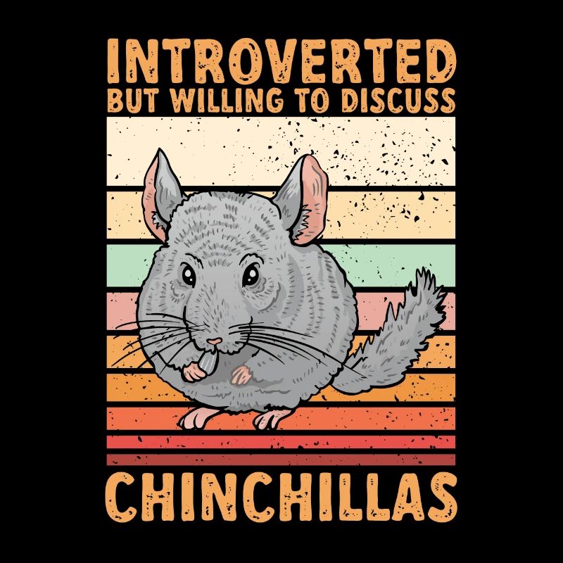 Chinchilla