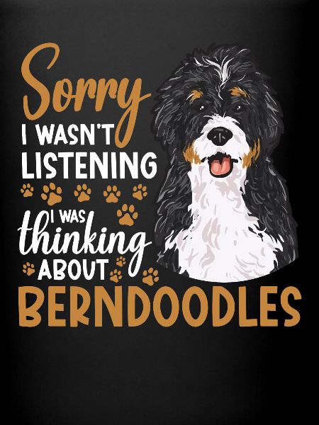 Bernedoodle Dog