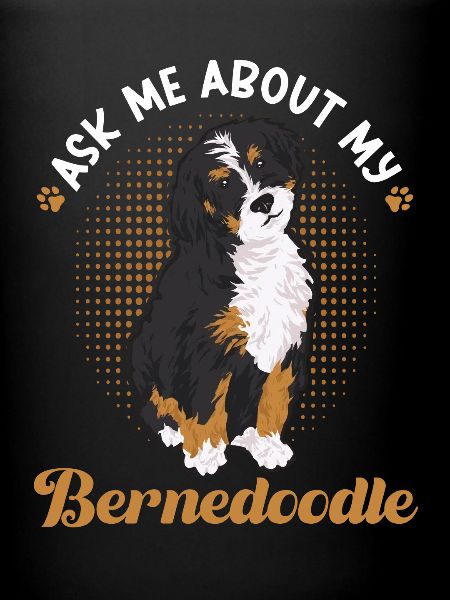 Chien Bernedoodle