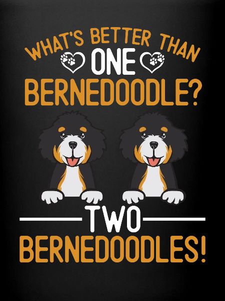Bernedoodle Dog