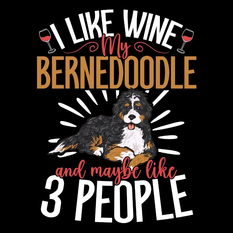 Bernedoodle Hund