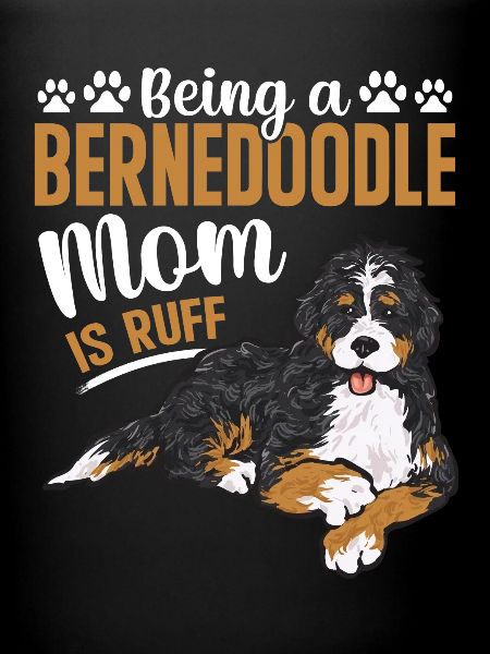 Chien Bernedoodle