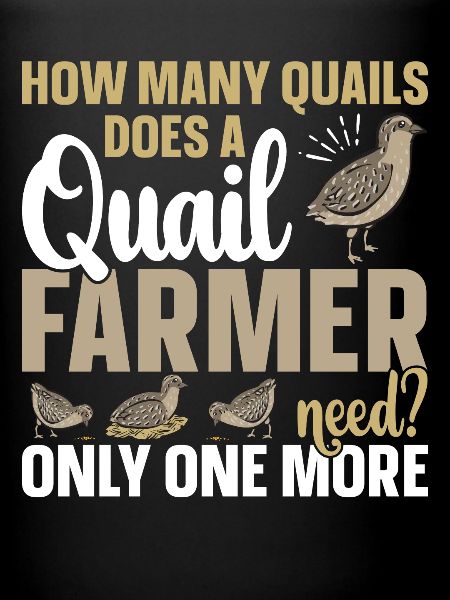 Quail Bird