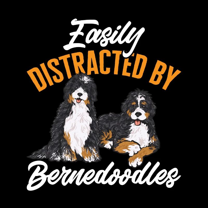 Bernedoodle Hund
