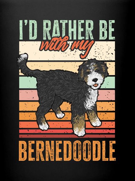 Bernedoodle Dog