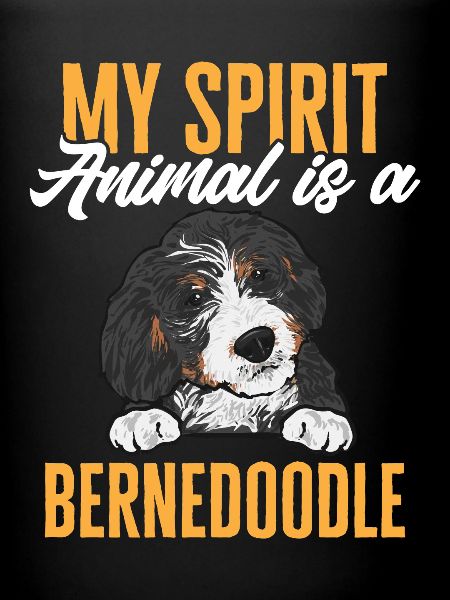 Chien Bernedoodle