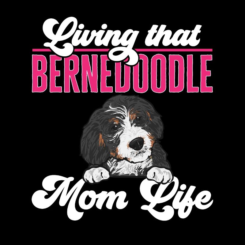 Bernedoodle Hund