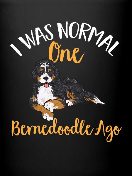 Bernedoodle Hund