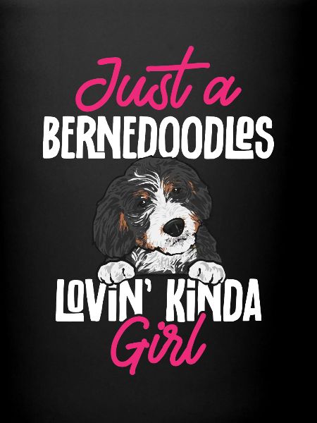 Bernedoodle Dog