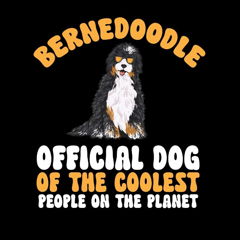 Chien Bernedoodle