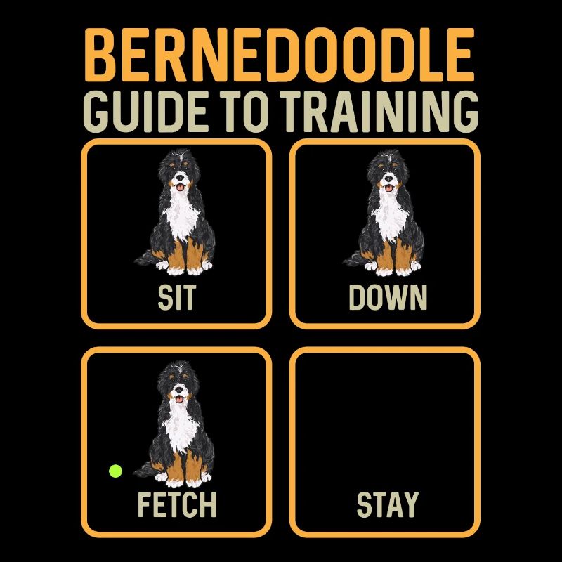 Chien Bernedoodle