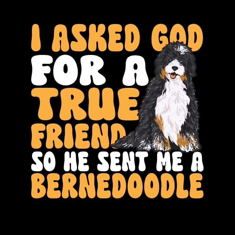 Chien Bernedoodle