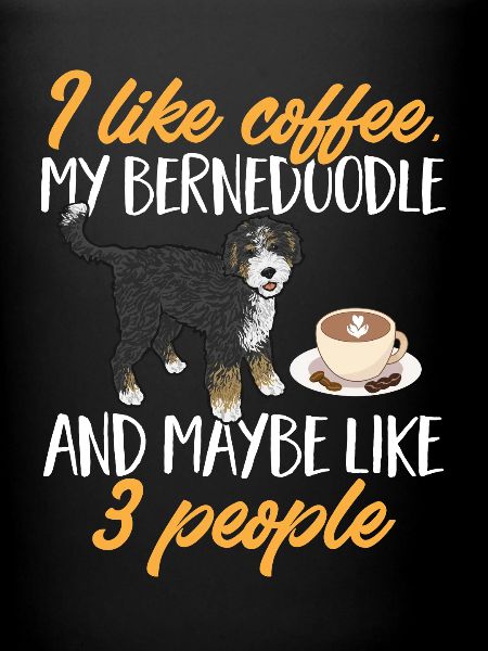 Chien Bernedoodle