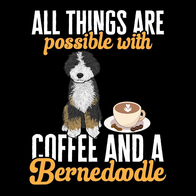 Bernedoodle Hund