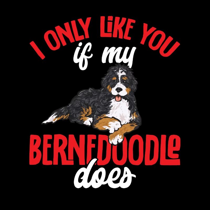 Bernedoodle Dog