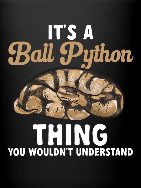 Ball Python Schlange Königspython