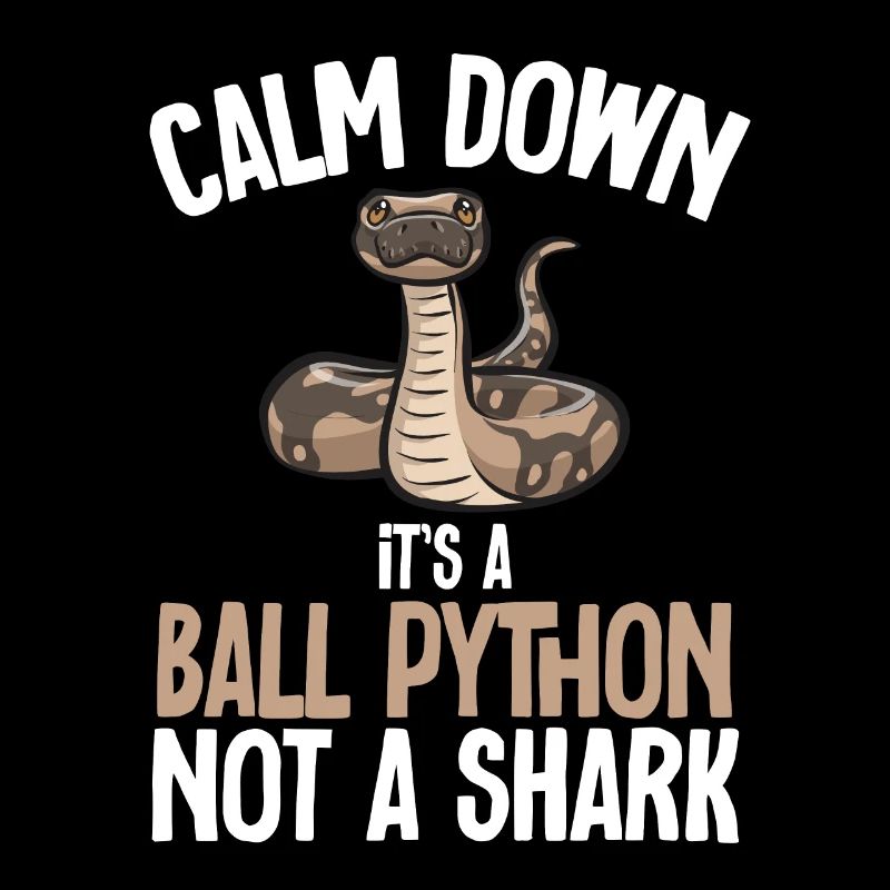 Ball Python Snake King Python