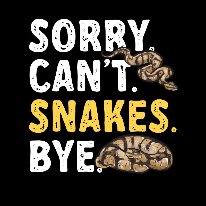 Ball Python Schlange Königspython