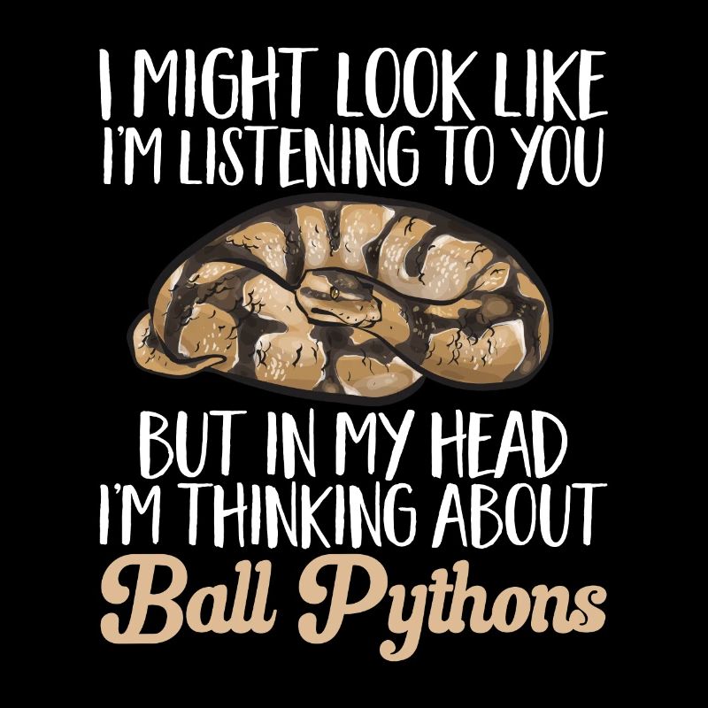 Ball Python Snake King Python