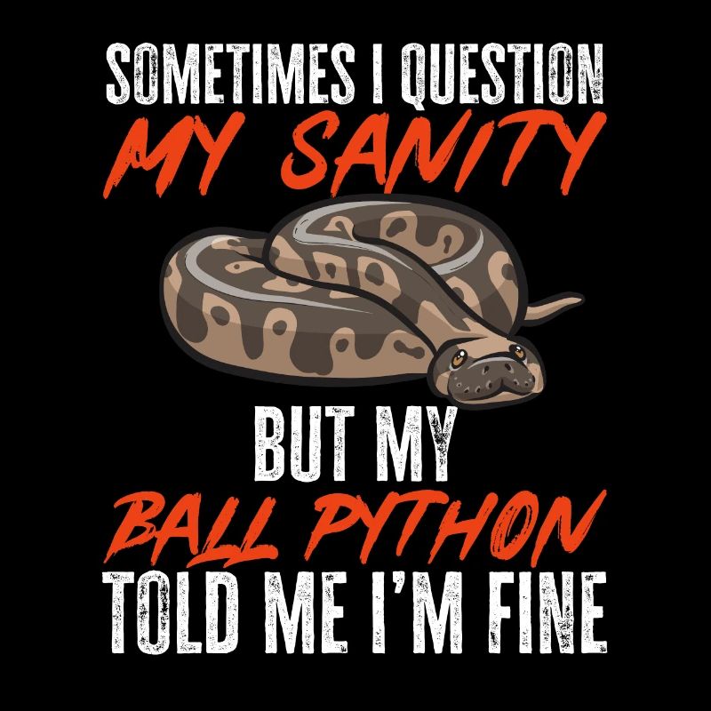 Ball Python Schlange Königspython