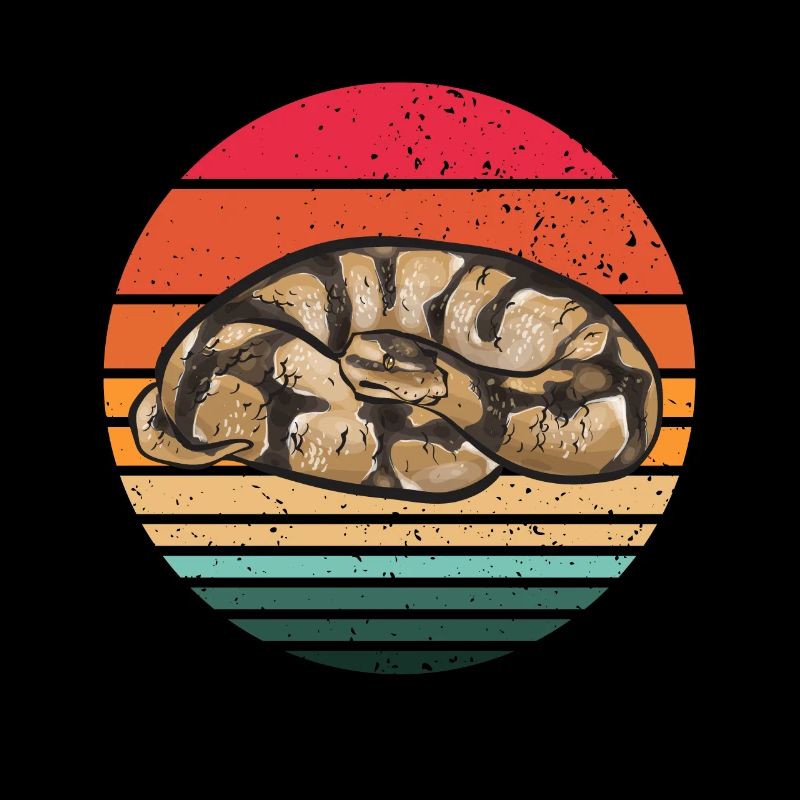 Ball Python Schlange Königspython