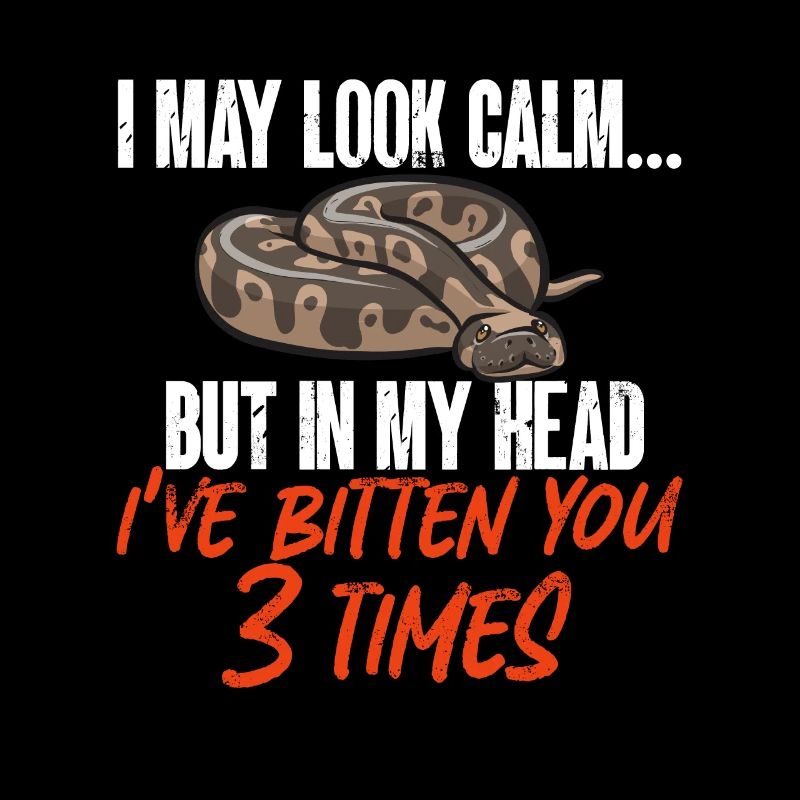 Ball Python Snake King Python