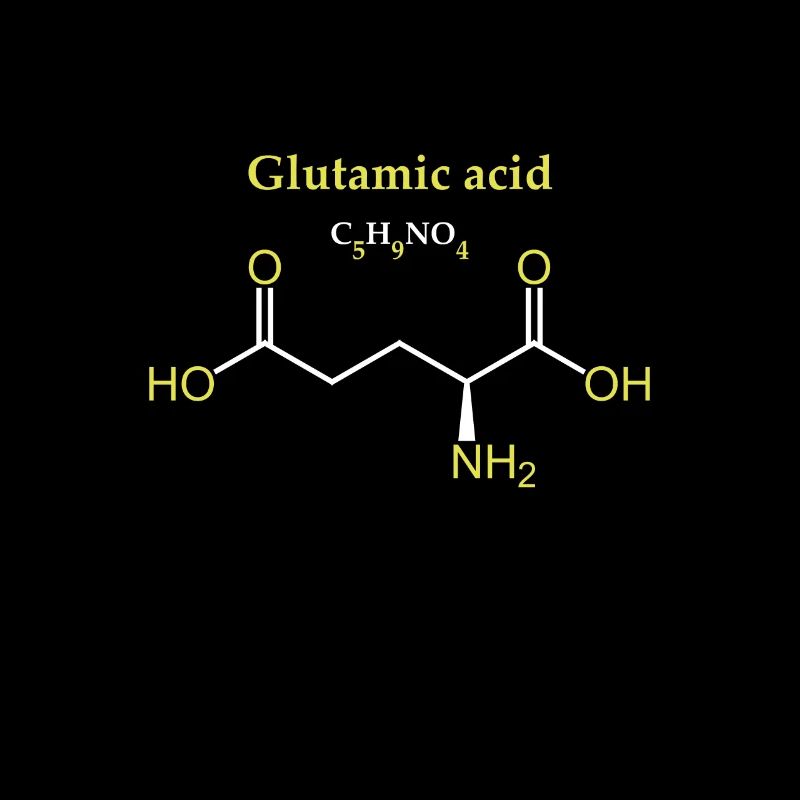 Glutaminsäure-Molekül