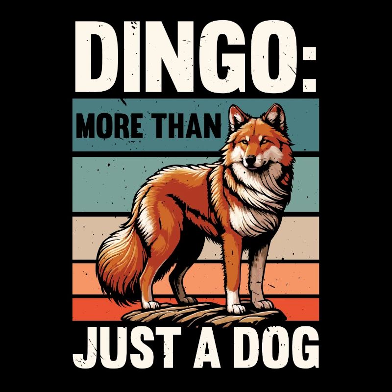 Dingo Dog Western Australia Australian Dingo Lover