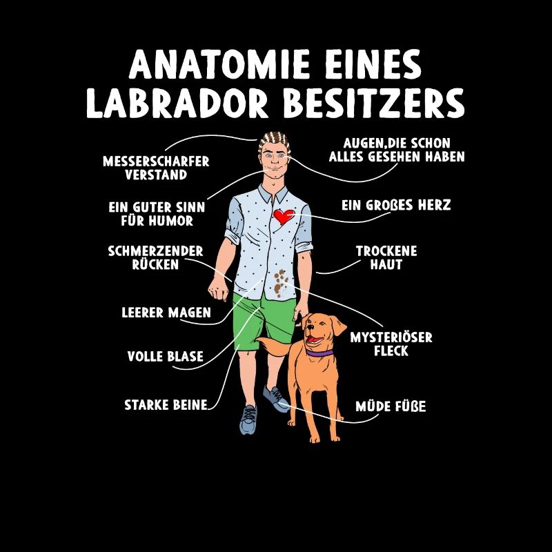 Anatomie d’un propriétaire de labrador