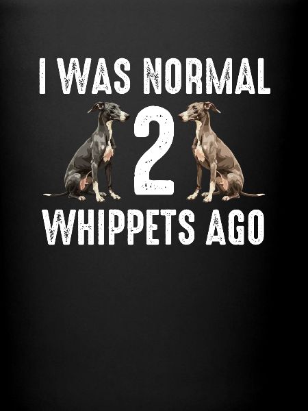 Whippet Dog