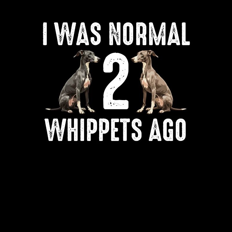 Chien Whippet