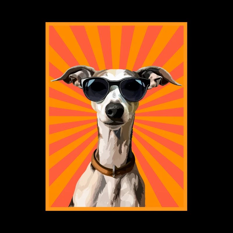 Chien Whippet